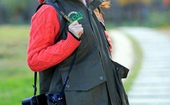 隐婚是什么意思